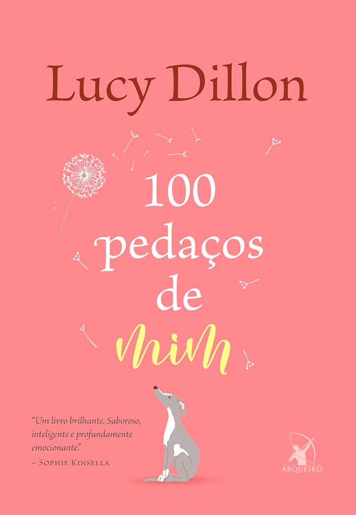 Livro 100 pedaços de mim
