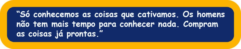Resenha do Livro: "O pequeno príncipe" 6 Sem Titulo 5 3